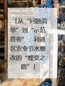 从“问题清单”到“示范答卷”：利通区农业节水整改的“蝶变之路”