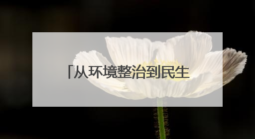 从环境整治到民生服务 永阳街道“全民清洁日”两周年再启共治新篇