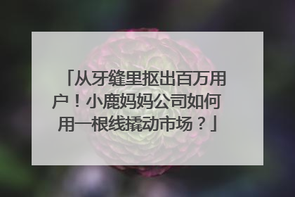从牙缝里抠出百万用户！小鹿妈妈公司如何用一根线撬动市场？