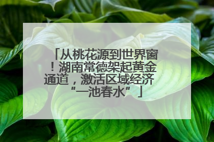 从桃花源到世界窗！湖南常德架起黄金通道，激活区域经济“一池春水”