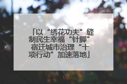 以“绣花功夫”缝制民生幸福“针脚” 宿迁城市治理“十项行动”加速落地
