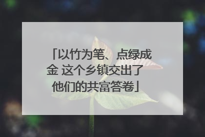 以竹为笔、点绿成金 这个乡镇交出了他们的共富答卷