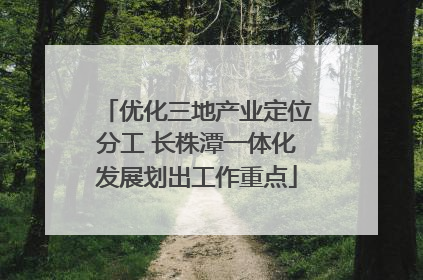优化三地产业定位分工 长株潭一体化发展划出工作重点