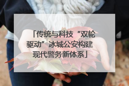 传统与科技“双轮驱动”冰城公安构建现代警务新体系