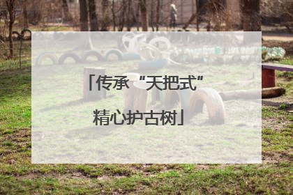 传承“天把式” 精心护古树