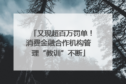 又现超百万罚单！消费金融合作机构管理“教训”不断