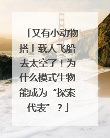 又有小动物搭上载人飞船去太空了！为什么模式生物能成为“探索代表”？