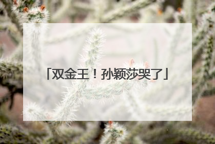 双金王！孙颖莎哭了