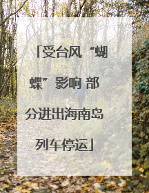 受台风“蝴蝶”影响 部分进出海南岛列车停运