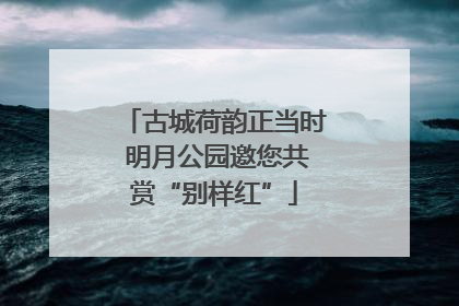 古城荷韵正当时 明月公园邀您共赏“别样红”
