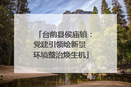 台前县侯庙镇：党建引领绘新景 环境整治焕生机