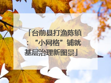 台前县打渔陈镇：“小网格”铺就基层治理新图景