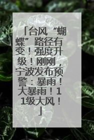 台风“蝴蝶”路径有变！强度升级！刚刚，宁波发布预警：暴雨！大暴雨！11级大风！