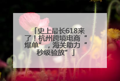 史上最长618来了！杭州跨境电商“爆单”，海关助力“秒级验放”