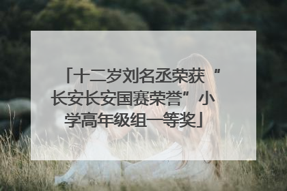 十二岁刘名丞荣获“长安长安国赛荣誉”小学高年级组一等奖