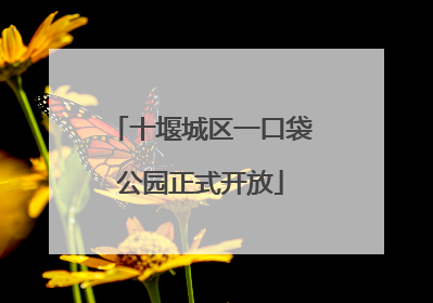十堰城区一口袋公园正式开放
