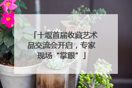 十堰首届收藏艺术品交流会开启，专家现场“掌眼”