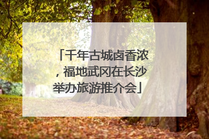 千年古城卤香浓，福地武冈在长沙举办旅游推介会