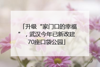 升级“家门口的幸福”，武汉今年已新改建70座口袋公园