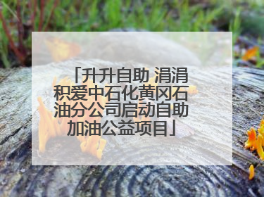 升升自助 涓涓积爱中石化黄冈石油分公司启动自助加油公益项目