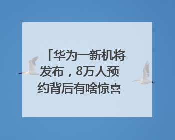华为一新机将发布，8万人预约背后有啥惊喜？｜热财经