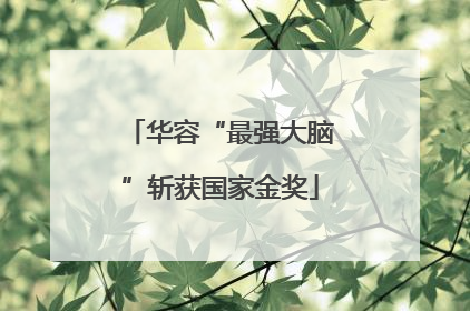 华容“最强大脑”斩获国家金奖