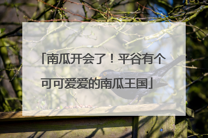 南瓜开会了！平谷有个可可爱爱的南瓜王国