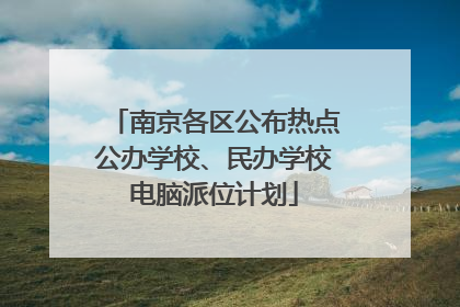 南京各区公布热点公办学校、民办学校电脑派位计划