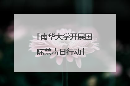 南华大学开展国际禁毒日行动