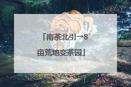 南茶北引→8亩荒地变茶园