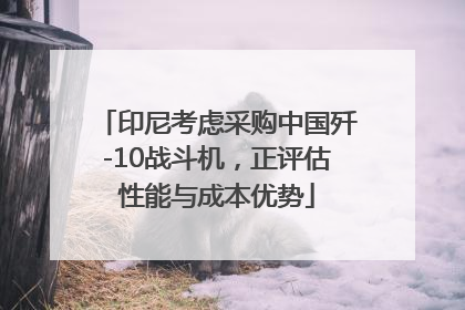 印尼考虑采购中国歼-10战斗机，正评估性能与成本优势