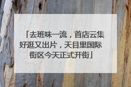 去班味一流，首店云集好逛又出片，天目里国际街区今天正式开街