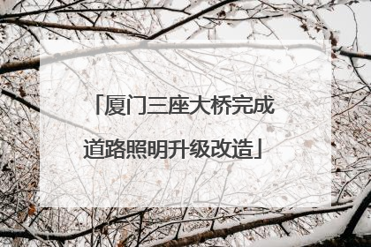 厦门三座大桥完成道路照明升级改造