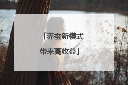 养蚕新模式带来高收益