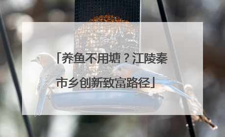 养鱼不用塘？江陵秦市乡创新致富路径