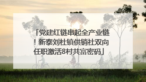 党建红链串起全产业链！新泰刘杜镇供销社双向任职激活8村共富密码