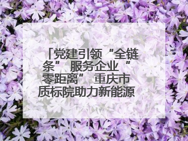 党建引领“全链条” 服务企业“零距离” 重庆市质标院助力新能源汽车产业链提升质量管理水平