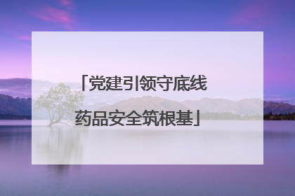 党建引领守底线 药品安全筑根基