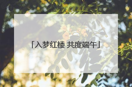 入梦红楼 共度端午