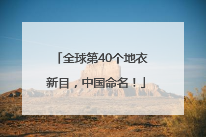 全球第40个地衣新目，中国命名！