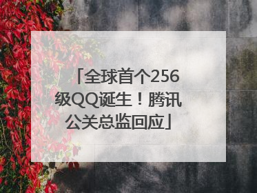 全球首个256级QQ诞生！腾讯公关总监回应