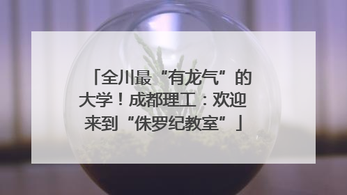 全川最“有龙气”的大学！成都理工：欢迎来到“侏罗纪教室”