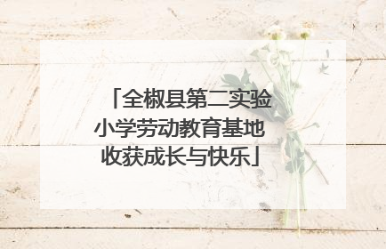 全椒县第二实验小学劳动教育基地收获成长与快乐