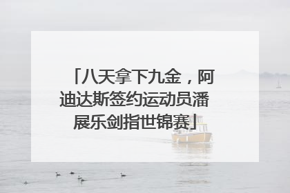 八天拿下九金，阿迪达斯签约运动员潘展乐剑指世锦赛