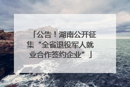 公告！湖南公开征集“全省退役军人就业合作签约企业”