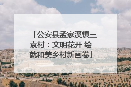公安县孟家溪镇三袁村：文明花开 绘就和美乡村新画卷