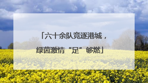 六十余队竞逐港城，绿茵激情“足”够燃