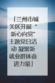 兰州市城关区开展“新心向党”主题党日活动 凝聚新就业群体奋进力量