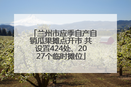 兰州市应季自产自销瓜果摊点开市 共设置424处、2027个临时摊位