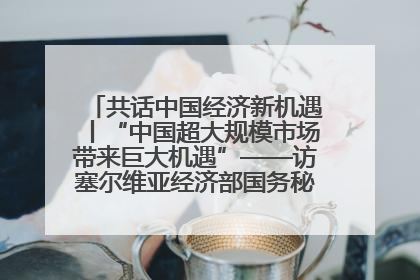 共话中国经济新机遇丨“中国超大规模市场带来巨大机遇”——访塞尔维亚经济部国务秘书尼科利奇